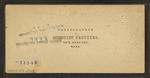 Upper Falls of the Ammonoosuc, White Mountains, N.H.