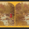 The Trout Brook.
