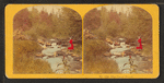 The Trout Brook.