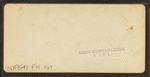 The Ammonoosuc Falls, White Mountains, N.H.