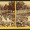 View near the Waumbek House, Jefferson, N.H.
