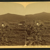Owl's Head Slide, July 10th, 1885, Jefferson, N.H.