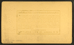 Bourdeau Family, Owl's Head Slide, Jefferson, N.H.