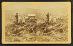 Bourdeau Family, Owl's Head Slide, Jefferson, N.H.