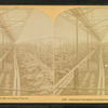 Saranac Cucumber Conservatory, Littleton, N.H.