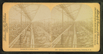 Saranac Cucumber Conservatory, Littleton, N.H.