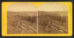 White Mountains, from Littleton, N.H.