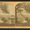 View from Oak Hill, Littleton, N.H.