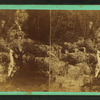 Grotto Cascade, White Mts. N.H.