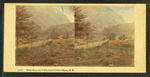 White Mountain Notch, from Crawford House.