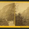 Mt. Willard, Crawford Notch.