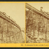 Frankenstein Trestle and Cliff, Crawford Notch, N.H.