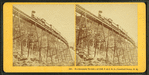 Frankenstein Trestle and Cliff, Crawford Notch, N.H.