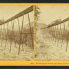 Frankenstein Trestle and Train, P. & O.R.R., Crawford Notch, N.H.