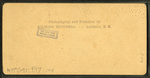 Willeybrook Bridge and Train, P. & O.R.R., Crawford Notch, White Mts.