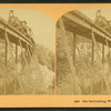 Sky Railroading, White Mts., N.H.