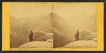 View from Mt. Willard, down the Notch, White Mountains, N.H.