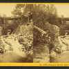 Nancy's Brook and Bridge, White Mountains.