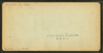 Willey House, and Mount Willard, White Mountains, N.H.