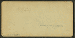 Beecher's Cascade, White Mountains, N.H.