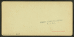 Frankenstein Trestle, P. & O.R.R. White Mountains, N.H.