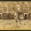 This is the House that Jack built,  Crawford Notch, N.H.