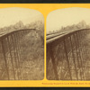 Frankenstein Trestle, P. & O.R.R., White Mts. Notch.