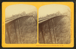 Frankenstein Trestle, P. & O.R.R., White Mts. Notch.