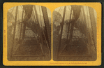 Frankenstein Trestle, P. & O.R.R., White Mts. Notch.
