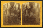 Frankenstein Trestle, P. & O.R.R., White Mts. Notch.