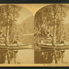 Idlewild, Crawford Notch,White Mts.