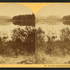 Saco Lake and Crawford House, White Mts.