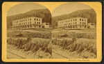 Mount Pleasant House, White Mts.