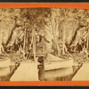 Crawford Lake and Idlewild.
