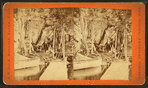 Crawford Lake and Idlewild.