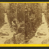 Flume, at the time of the flood, Oct. 1869. Franconia, N.H.