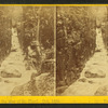 Flume, at the time of the flood, Oct. 1869. Franconia, N.H.
