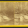 View between the Cascade and the Flume, Franconia Mts., N.H.