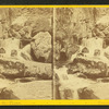 View above the Flume, Franconia Mts., N.H.