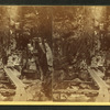 View in the Flume, 1864