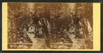 View in the Flume, 1864