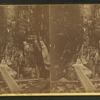 View in the Flume, White Mts., 1864.