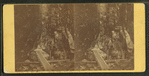 View in the Flume, White Mts., 1864.