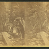 Visitors at the Flume, White Mts. 1864.