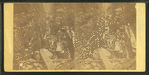 Visitors at the Flume, White Mts. 1864.