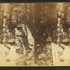 Visitors at the Flume, 1865.