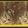 Visitors at the Flume, 1867.