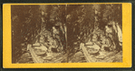 Visitors at the Flume, 1867.