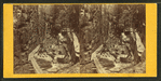 Visitors at the Flume, 1867.