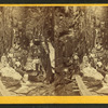 Visitors at the Flume, 1867.